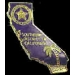 US MARSHAL SOUTHERN CALIFORNIA OFFICE PIN